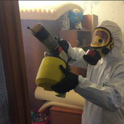 Уничтожение клопов в квартире. Назия